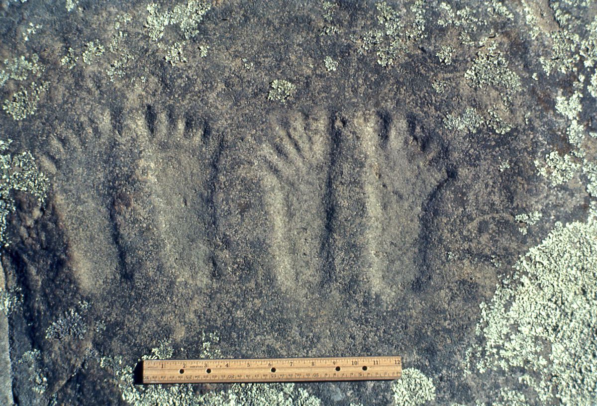 human_footprints12x8-1