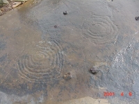 indiana-rock-art