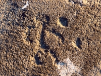 walking-man-big-indian-rock